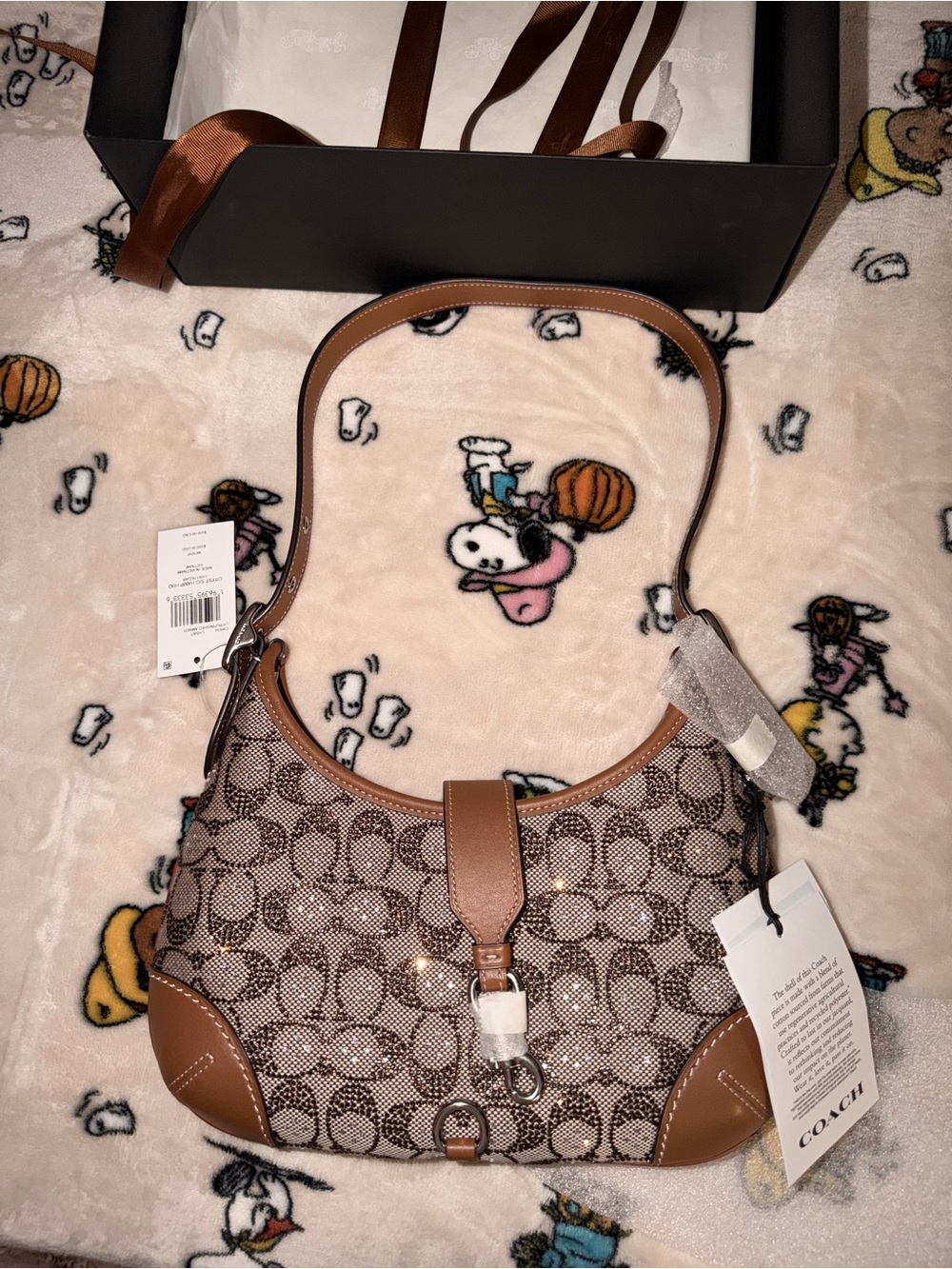 Coach Hamptons Hobo Bag Crystal Jacquard